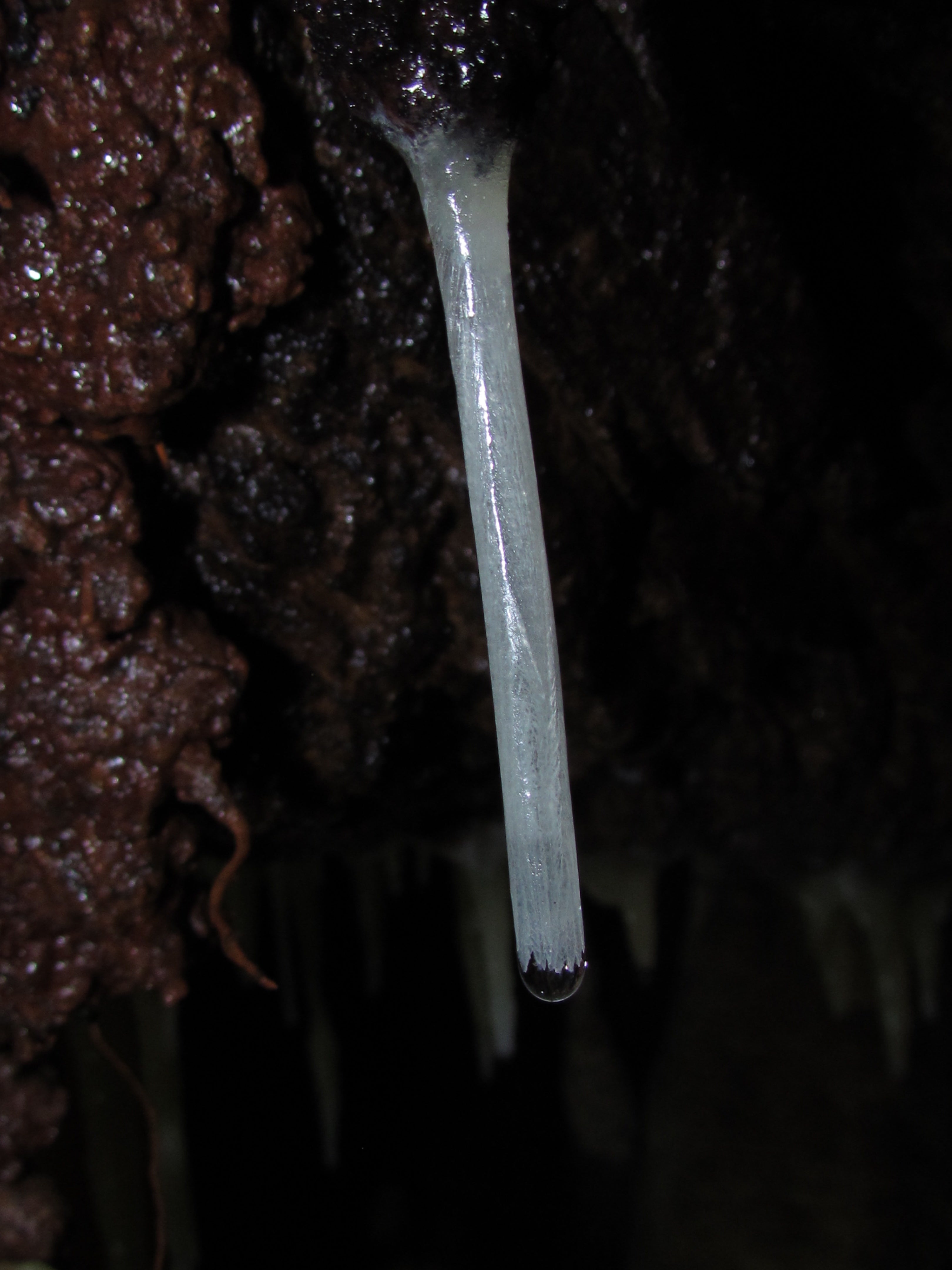 straw stalactite, soda straw,
