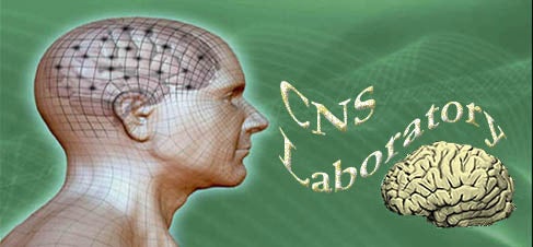 Computational Neuropsychology & Simulation (CNS) Lab